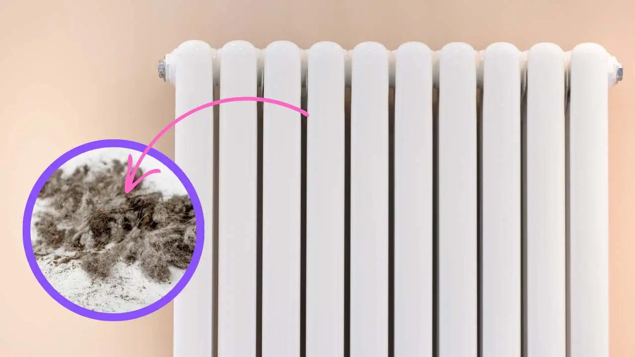 Come si fa a pulire i caloriferi e renderli più efficienti? La polvere interna blocca il calore