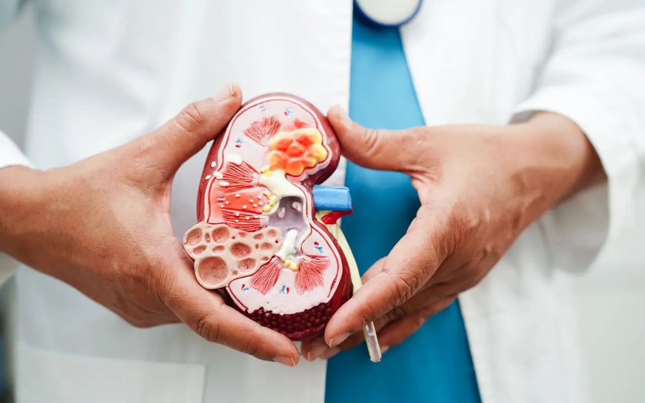 Allerta reni: i cibi che li mettono a rischio