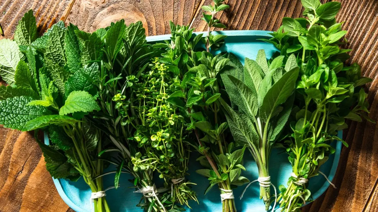 Il segreto per non far morire le piante aromatiche comprate al supermercato