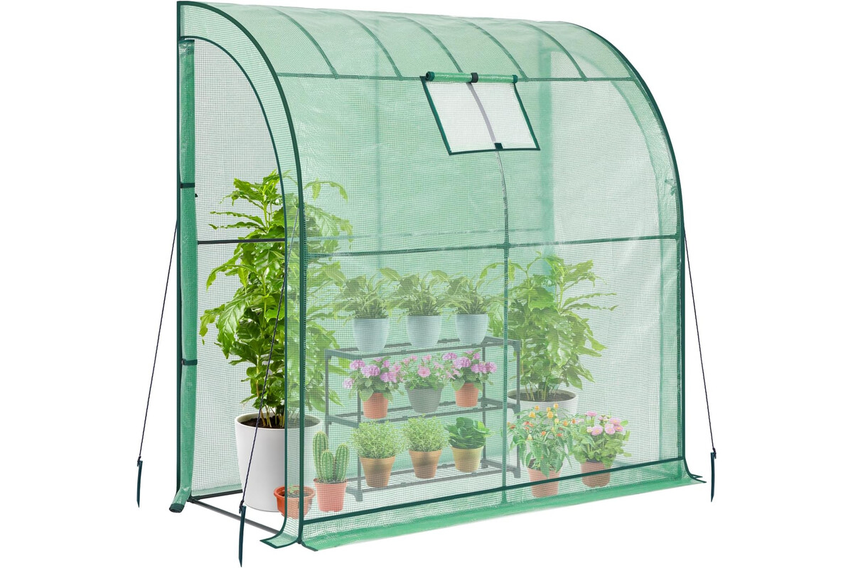 Risparmia sulla tua serra da parete: più spazio e protezione per le tue piante a un prezzo super conveniente