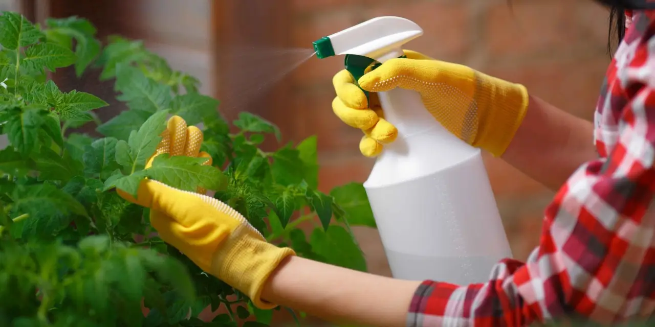 Come proteggere le piante dai raggi solari