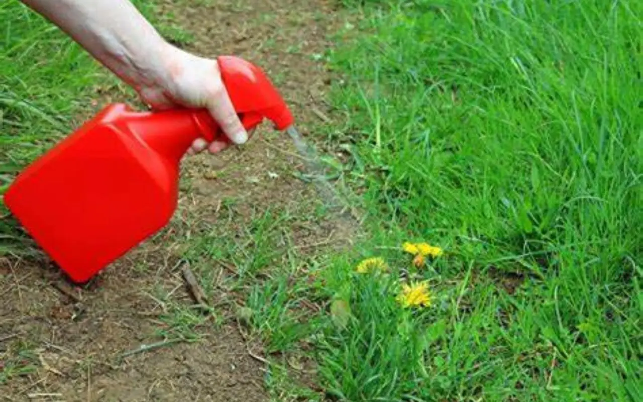 Il lato nascosto dei pesticidi in giardino